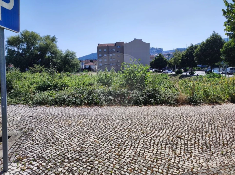 Terreno para Venda em São Pedro de Castelões Foto 6