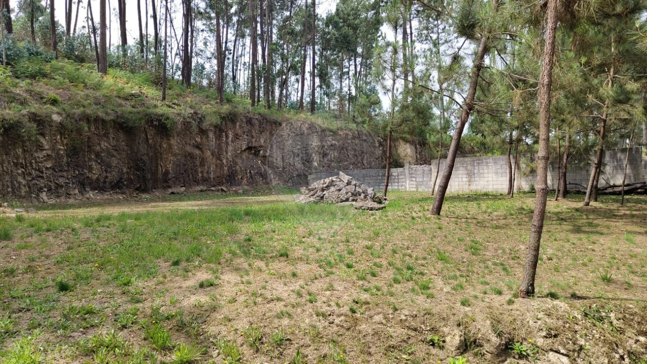 Terreno para Venda em Pinheiro da Bemposta, Travanca e Palmaz Foto 5