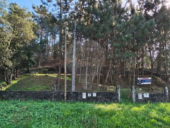 Terreno para Venda em Pinheiro da Bemposta, Travanca e Palmaz Foto 1