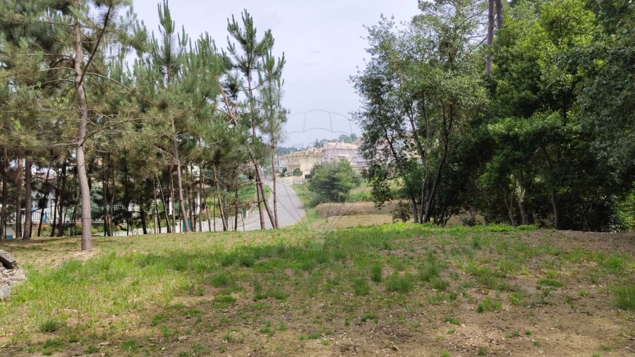 Terreno para Venda em Pinheiro da Bemposta, Travanca e Palmaz