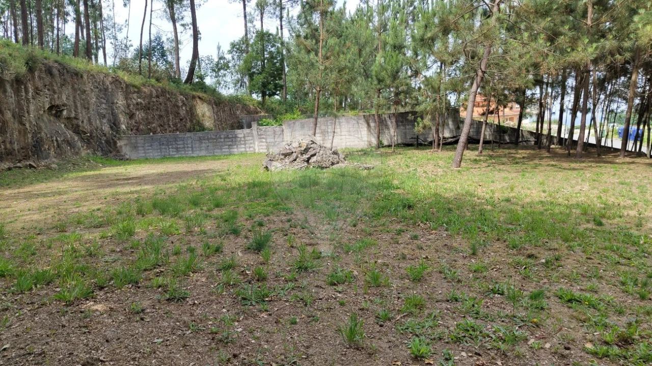 Terreno para Venda em Pinheiro da Bemposta, Travanca e Palmaz Foto 2
