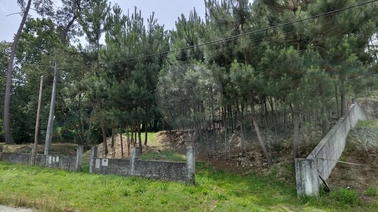Terreno para Venda em Pinheiro da Bemposta, Travanca e Palmaz Foto 6