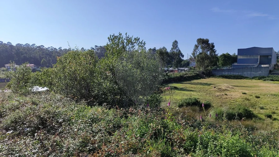 Terreno para Venda em Vila Chã, Codal e Vila Cova de Perrinho Foto 11