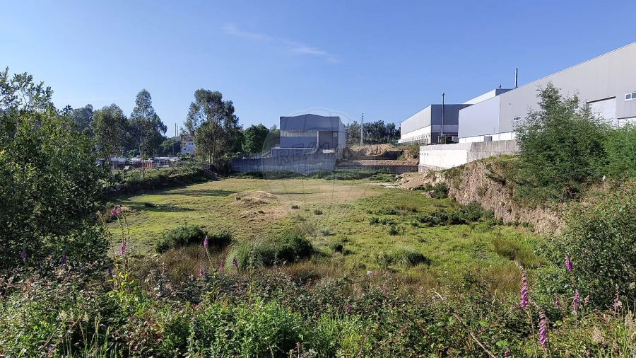 Terreno para Venda em Vila Chã, Codal e Vila Cova de Perrinho