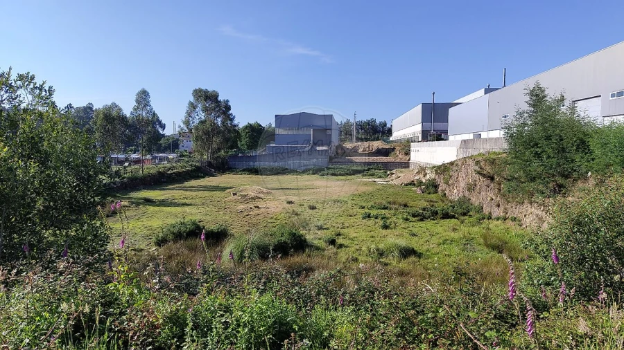 Terreno para Venda em Vila Chã, Codal e Vila Cova de Perrinho Foto 2