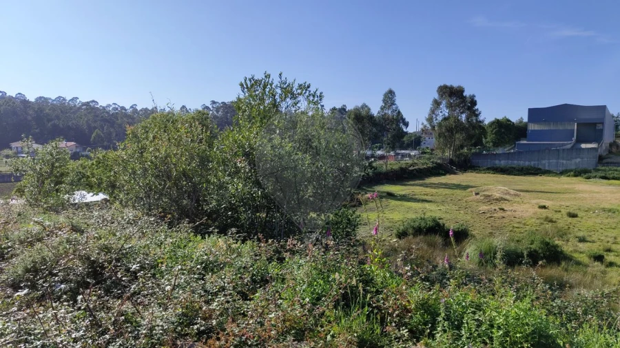 Armazém para Venda em Vila Chã, Codal e Vila Cova de Perrinho Foto 4