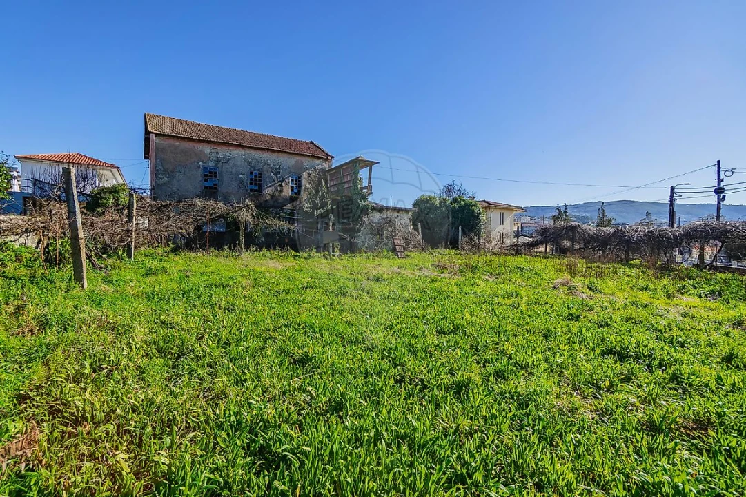 Terreno para Venda em Vila Chã, Codal e Vila Cova de Perrinho Foto 8
