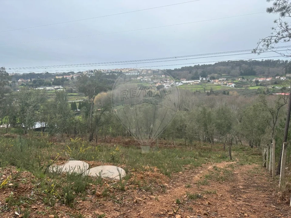 Terreno para Venda em Milheiros de Poiares Foto 4