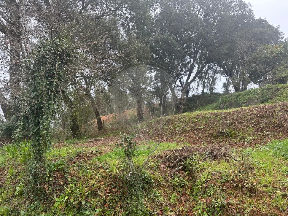 Terreno para Venda em Milheiros de Poiares Foto 7