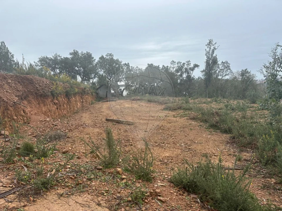 Terreno para Venda em Milheiros de Poiares Foto 2