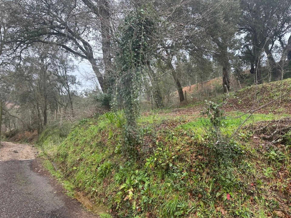 Terreno para Venda em Milheiros de Poiares Foto 8