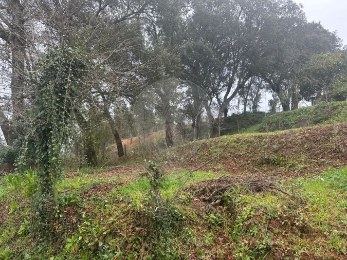 Terreno para Venda em Milheiros de Poiares Foto 7