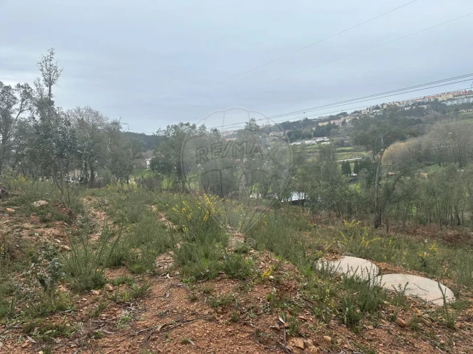 Terreno para Venda em Milheiros de Poiares Foto 5