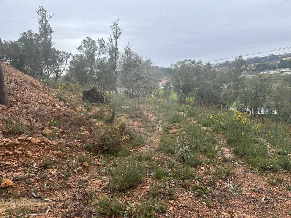 Terreno para Venda em Milheiros de Poiares Foto 3