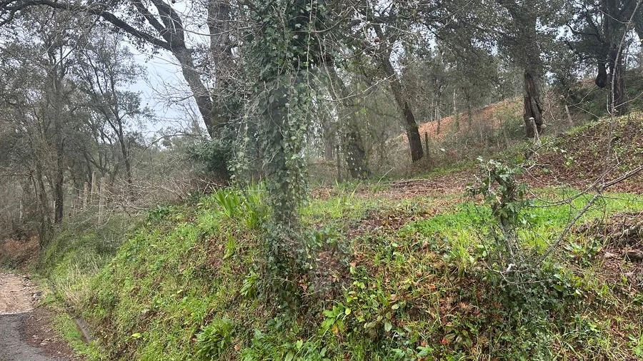Terreno para Venda em Milheiros de Poiares