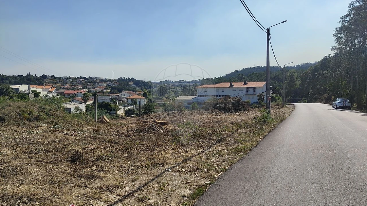 Terreno para Arrendamento em Carregosa Foto 2