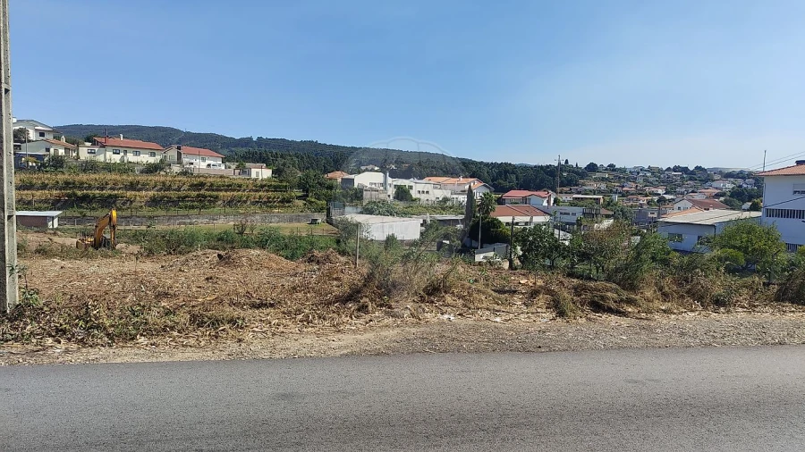 Terreno para Arrendamento em Carregosa Foto 5