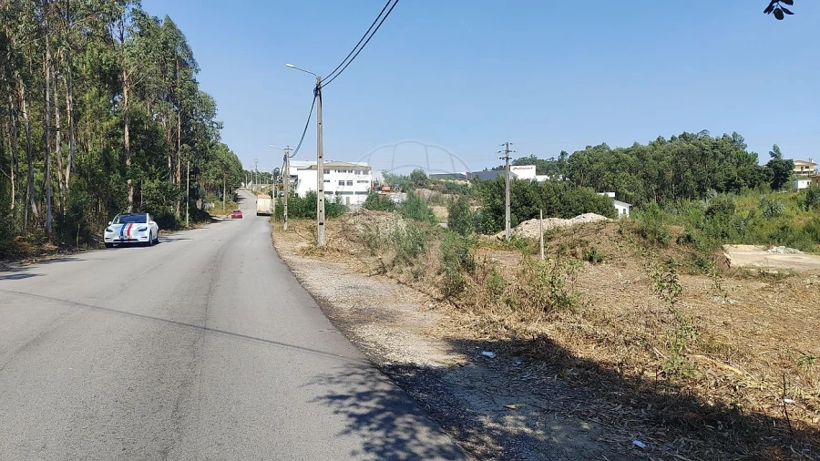 Terreno para Arrendamento em Carregosa Foto 4