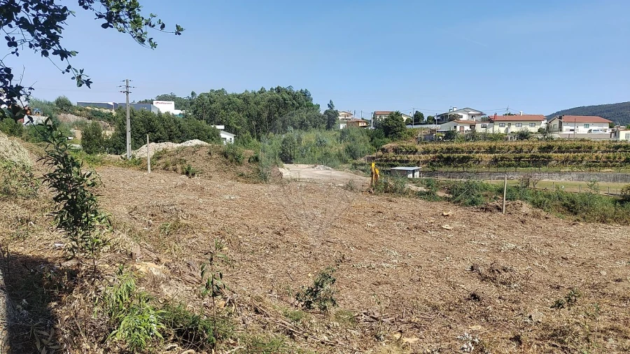 Terreno para Arrendamento em Carregosa Foto 6