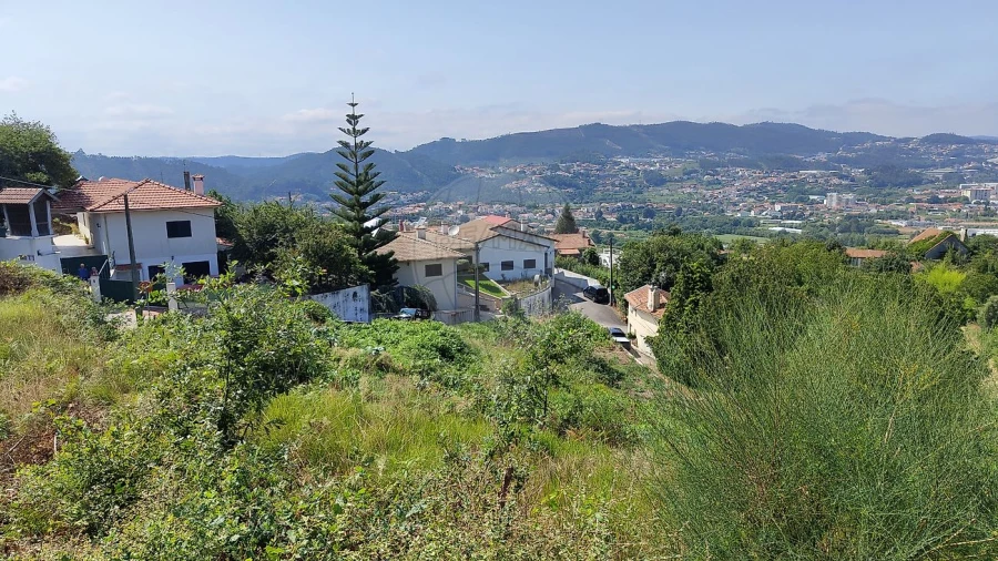 Terreno para Venda em São Pedro de Castelões Foto 11