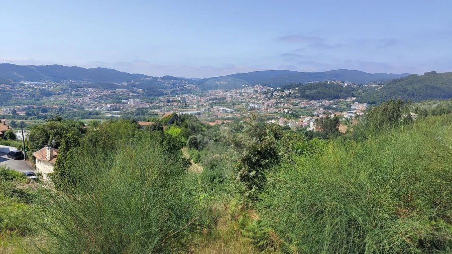 Terreno para Venda em São Pedro de Castelões Foto 10