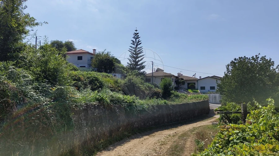 Terreno para Venda em São Pedro de Castelões