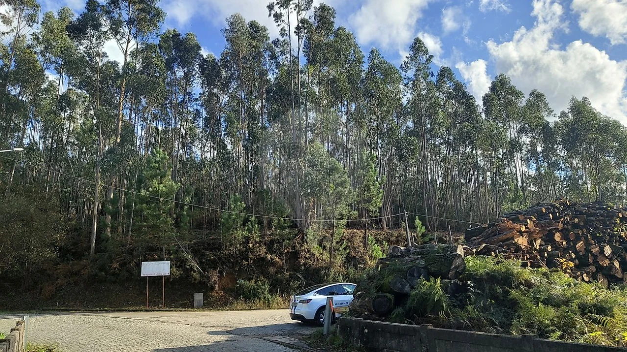 Terreno para Venda em Ossela Foto 8