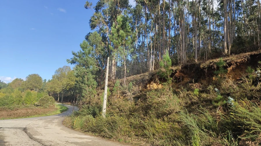 Terreno para Venda em Ossela Foto 2