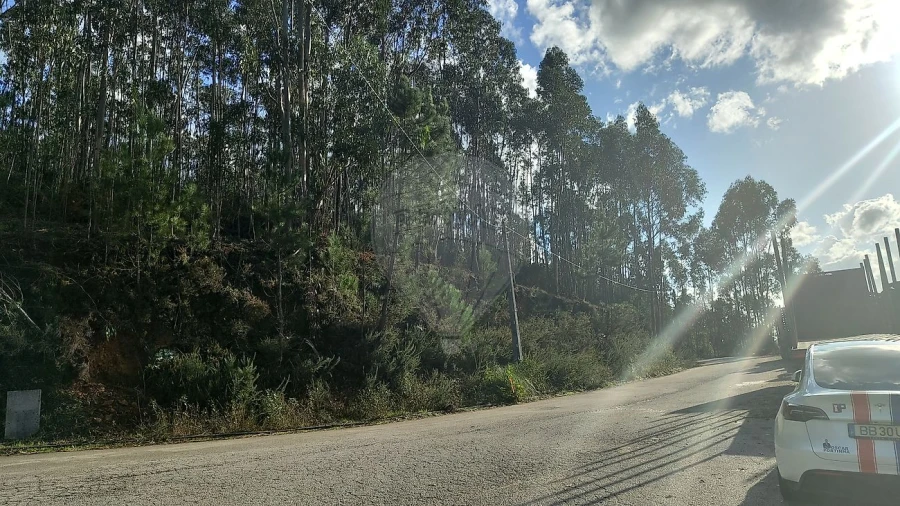Terreno para Venda em Ossela Foto 4