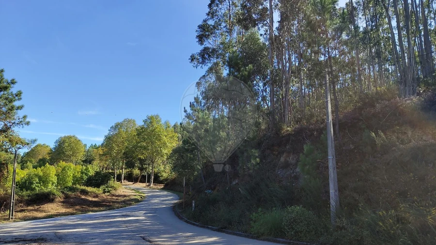 Terreno para Venda em Ossela Foto 7