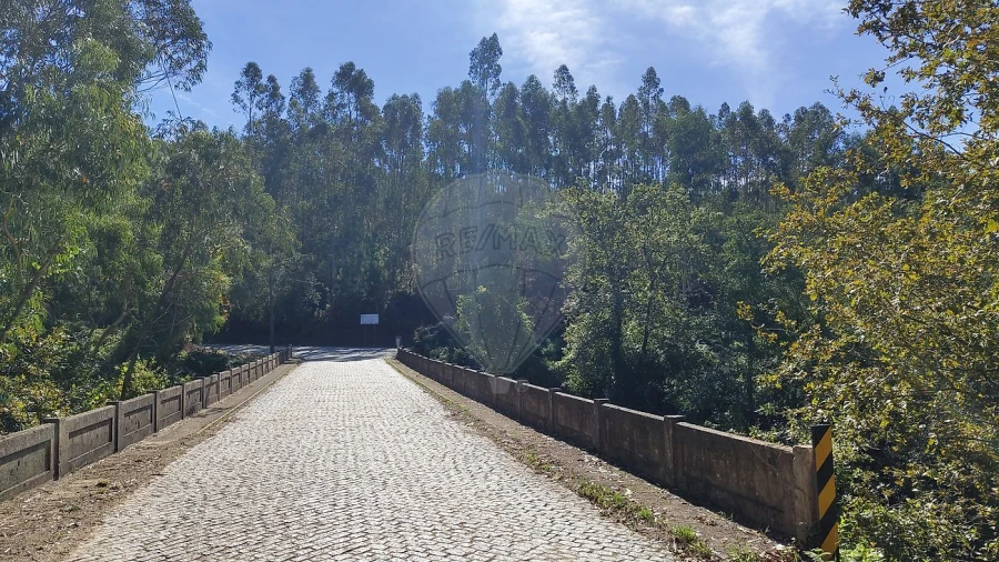 Terreno para Venda em Ossela Foto 5