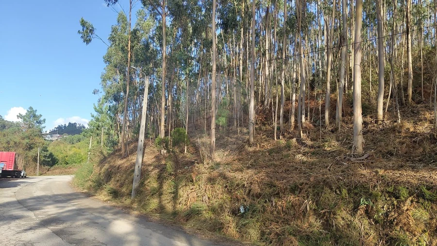 Terreno para Venda em Ossela