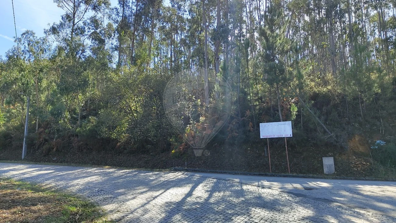 Terreno para Venda em Ossela Foto 6