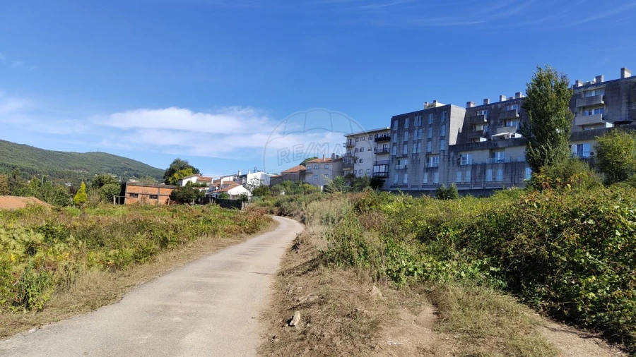 Terreno para Venda em Vila Chã, Codal e Vila Cova de Perrinho Foto 6