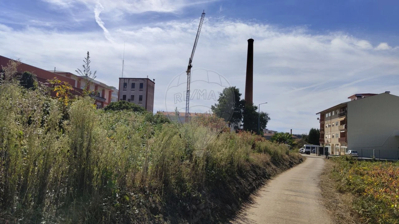 Terreno para Venda em Vila Chã, Codal e Vila Cova de Perrinho Foto 5