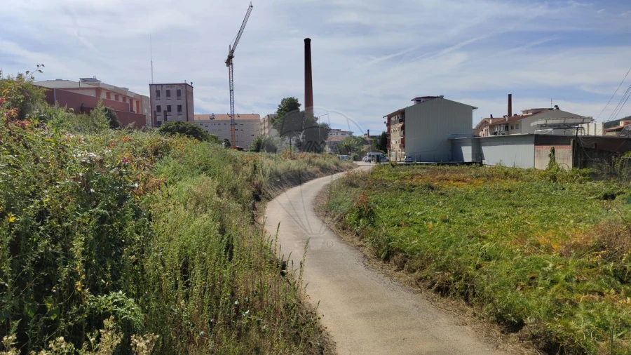 Terreno para Venda em Vila Chã, Codal e Vila Cova de Perrinho