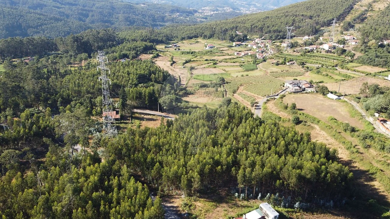 Terreno para Venda em Macieira de Cambra Foto 4