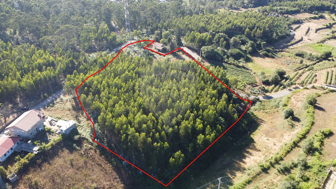 Terreno para Venda em Macieira de Cambra Foto 2