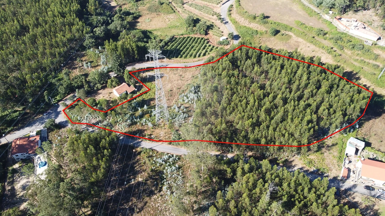 Terreno para Venda em Macieira de Cambra Foto 8