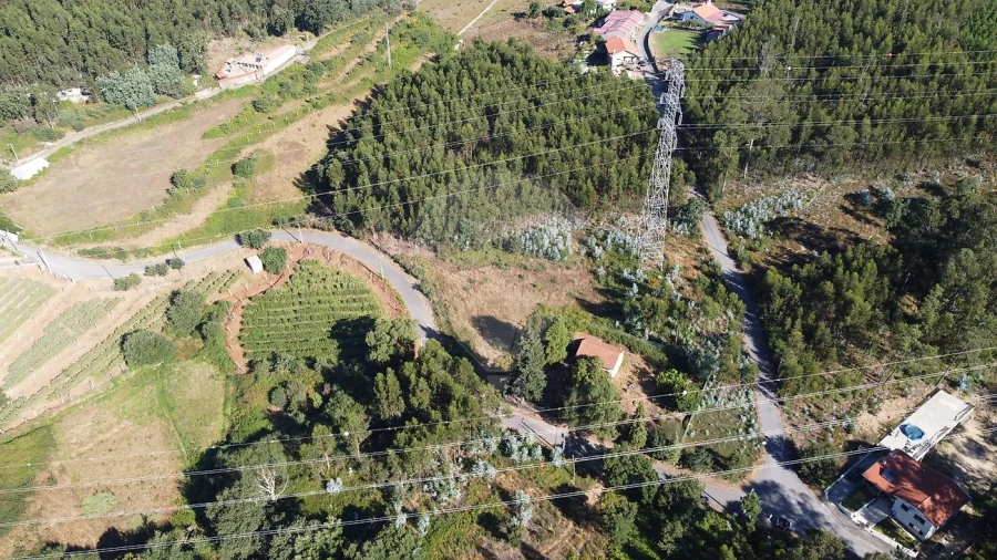 Terreno para Venda em Macieira de Cambra Foto 6