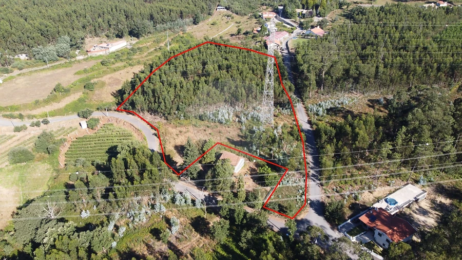 Terreno para Venda em Macieira de Cambra Foto 5