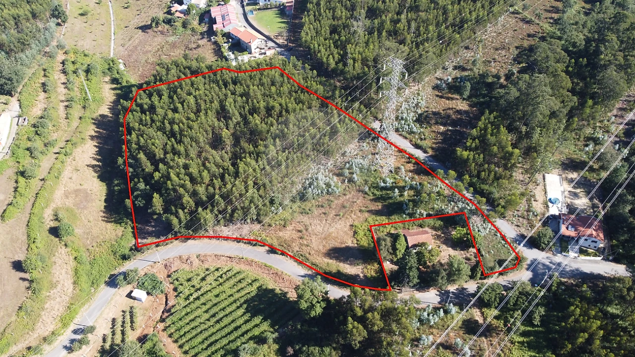 Terreno para Venda em Macieira de Cambra Foto 1