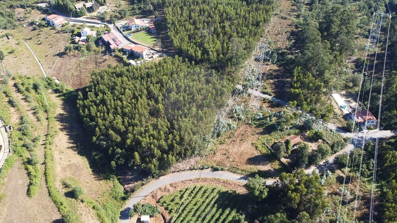 Terreno para Venda em Macieira de Cambra Foto 7