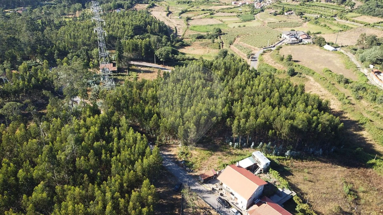 Terreno para Venda em Macieira de Cambra Foto 3