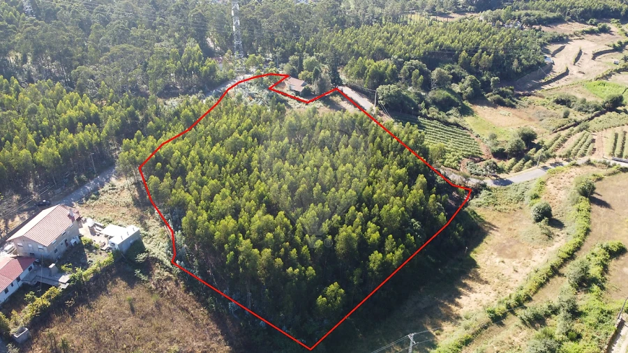 Terreno para Venda em Macieira de Cambra