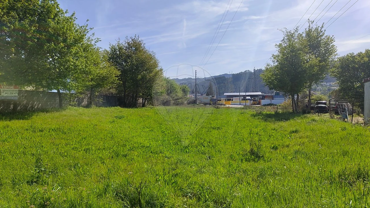 Terreno para Venda em São Pedro de Castelões Foto 9