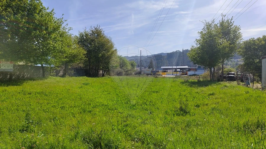 Terreno para Venda em São Pedro de Castelões Foto 9