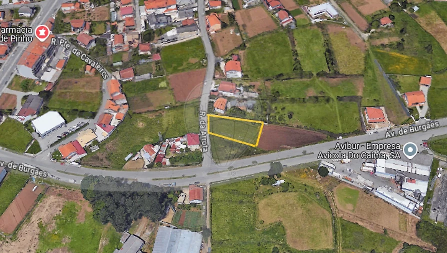 Terreno para Venda em São Pedro de Castelões Foto 3