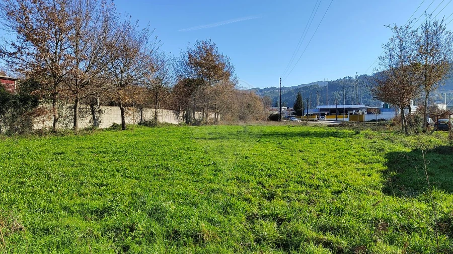 Terreno para Venda em São Pedro de Castelões Foto 7