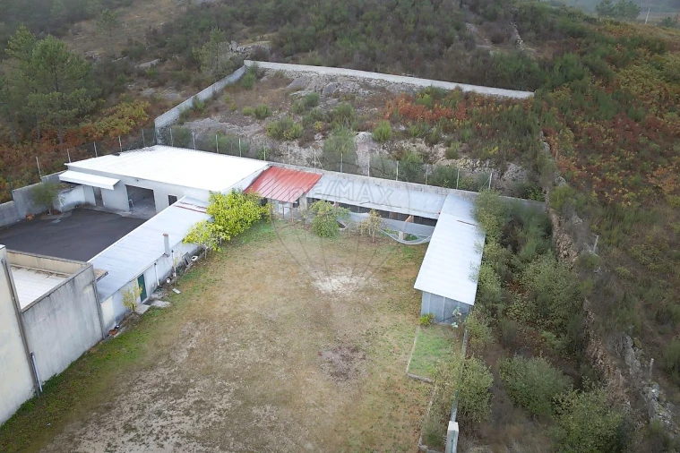 Prédio para Venda em Junqueira Foto 44